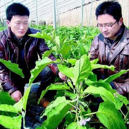 机关烹饪之法之三失败率高？实测风向机关精准操控法