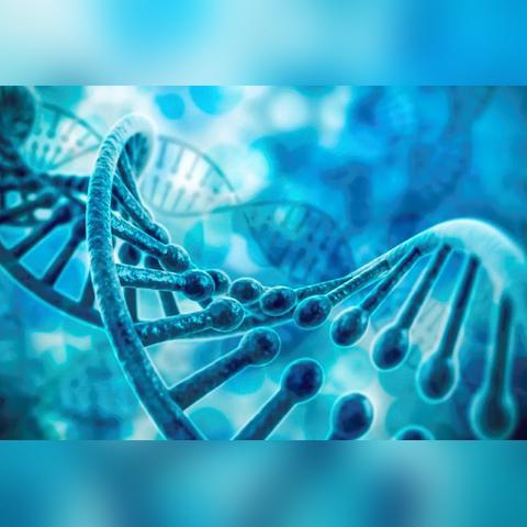 飞车活动卡关了？2025高玩揭秘3天拿满奖励的隐藏机制