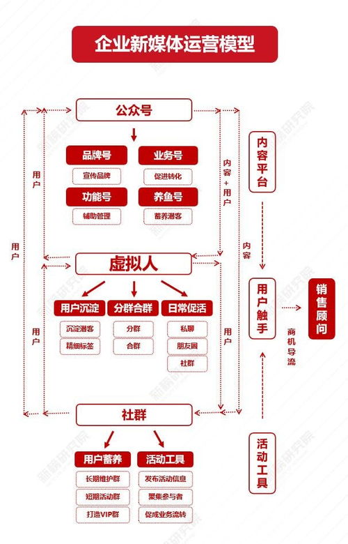矩阵揭秘，2025明星社交媒体运营实战手册
