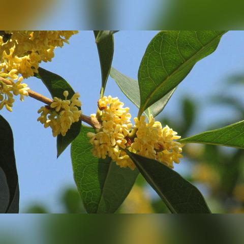 1.76传奇网站怎么选？老玩家揭秘5个隐藏判断标准