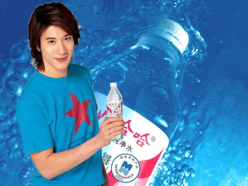 2026年3月实测，娃哈哈天龙私服长久服筛选标准与充值性价比