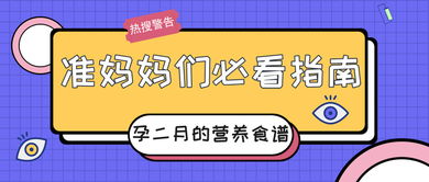 网娃总动员新手避坑指南，家长必看的5大安全设置与隐藏玩法