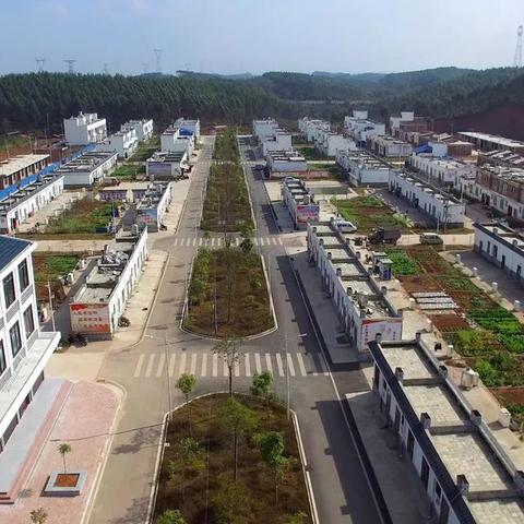 光荣使命激活类型全解析，2026年最新激活码获取与避坑指南