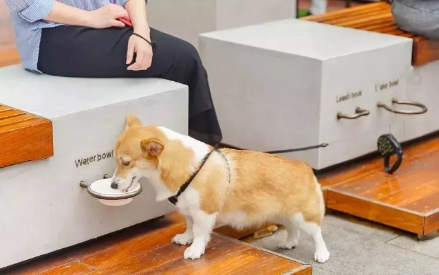 茶水铺狗子累瘫了怎么办？全网最详细营业恢复指南（2026最新实测）