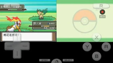二代口袋妖怪通关难？金/银/水晶版高玩实战技巧全解析