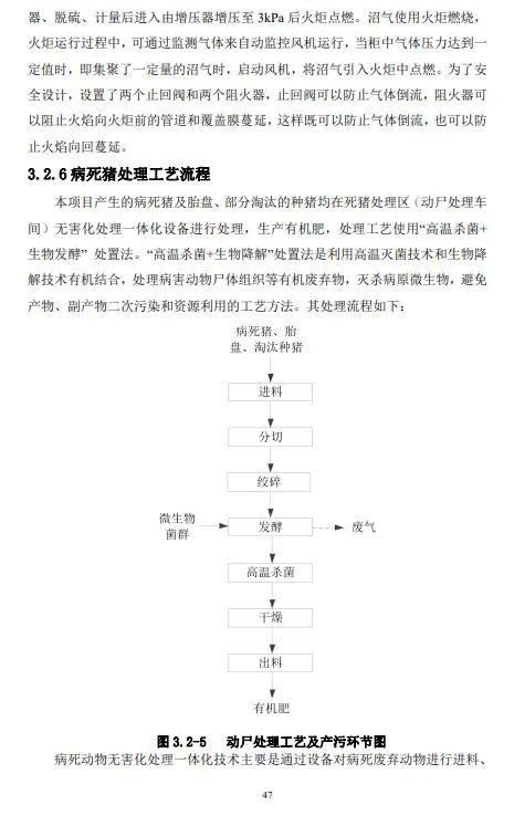 巴戈类型终极指南，2026年版本环境最强流派与隐藏机制全拆解