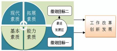 角色定位与版本环境适配性