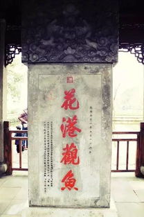 探秘！乾隆老师在武大开讲，为你揭开康熙讲座全新篇章