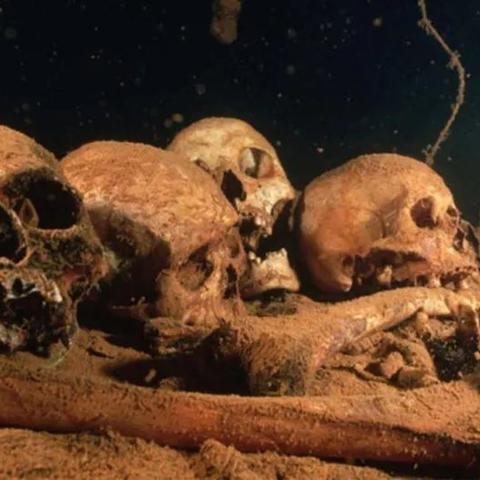 死亡岛Mod装到崩溃？2026年这7个神级组合让画质与稳定兼得