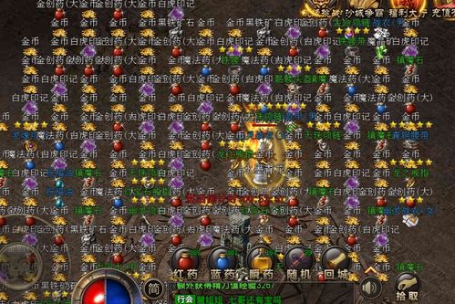 大荒传奇还在乱选职业？内测大佬揭秘3大T0流派与装备速刷法