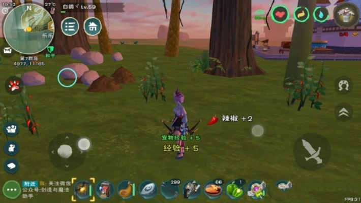 创造与魔法黄瓜刷新点类型全解析，2026最新高效采集路线与隐藏机制揭秘