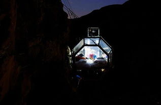 悬崖被困3天2夜不敢闭眼？2026极限生存专家揭秘7大实战保命法则