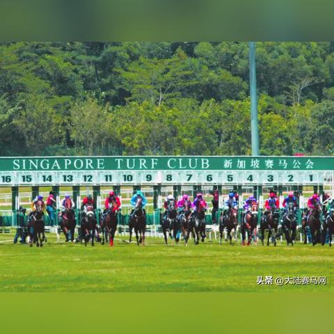 2026春公主连结公会战，物理自动刀伤害瓶颈破解全攻略