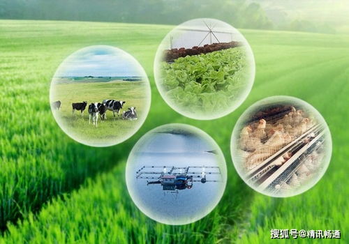华为辟谣种植水稻真相，2026年智慧农业技术布局全解密