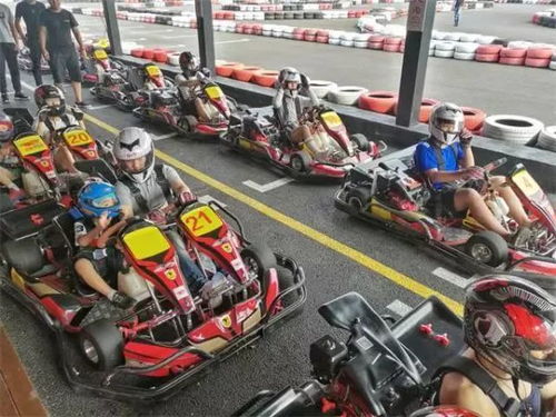 2026年电动卡丁车选购终极指南，3大电类型深度解析