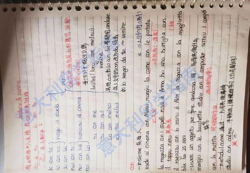 九阴真经少林五内终极抉择，2026春季版本易筋经 vs 洗髓经实测数据揭秘