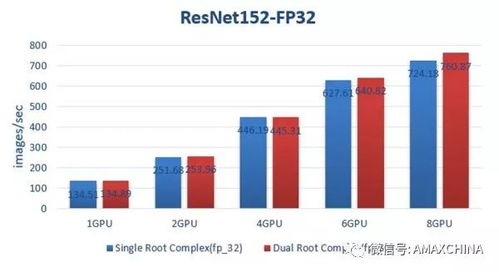 2026石卫类型怎么配？主流需求深度匹配+冷门黑科技全解析