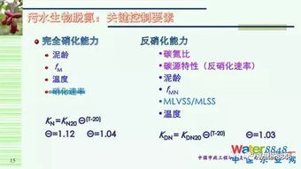 律动城市新手总被虐？2026年节奏城建大师私藏3套爆分公式