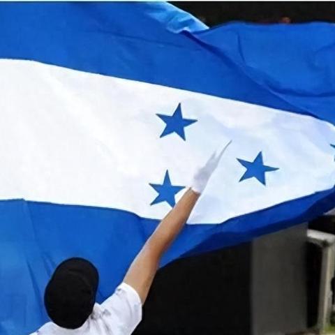 保卫萝卜挑战5金萝卜攻略，2026最新无伤通关布局，3大误区破解