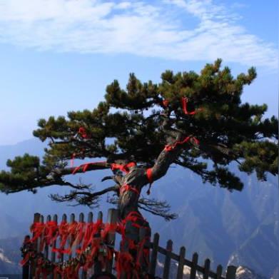 黑神话是哪个公司的？游戏科学团队揭秘与虚幻5动作RPG战斗系统深度解析