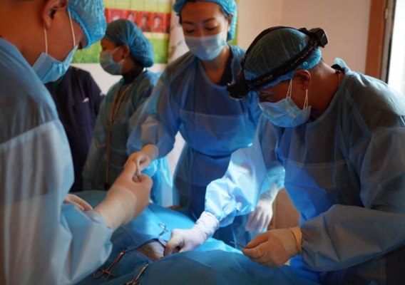 牧场绝育专家重磅登场，开启牧场绝育先锋的全新篇章！