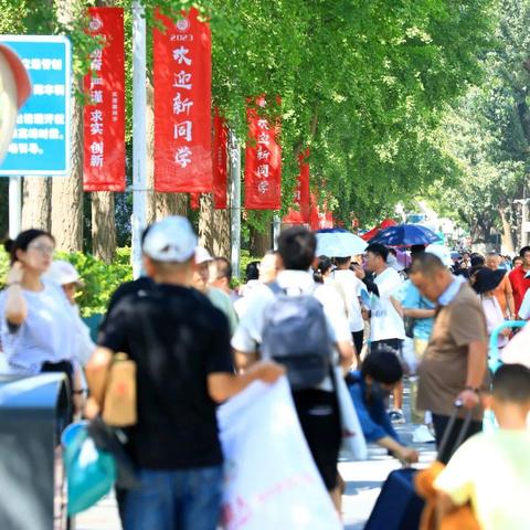 sf123传奇私服怎么选？2026年最新开服实测+三职业平衡性数据揭秘