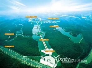 一、视频类型生态全景图，你的时间被谁偷走了？