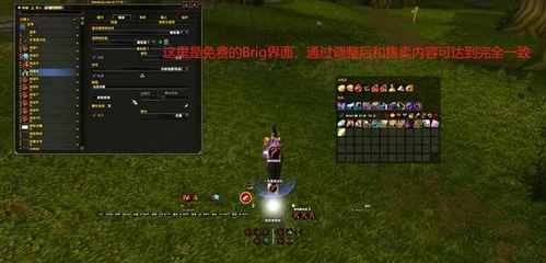 魔兽关服72小时黄金抢救期，角色数据永生+外服暗号+替代游戏核弹级清单