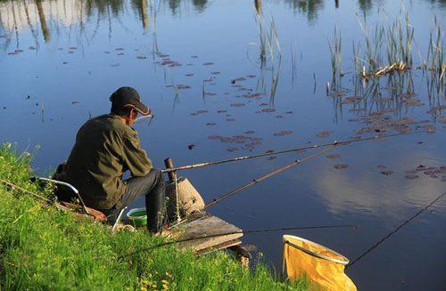 为什么你的钓鱼猫总空军？2026年高玩都在用的5个隐藏技巧