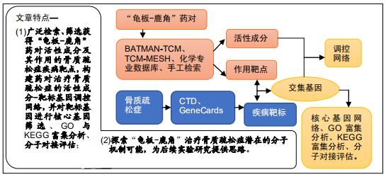 2026最新，赢在巨人全阶段机制拆解与速通策略
