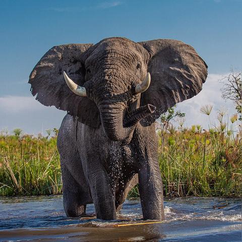 2026年Steam深度好游怎么选？破解选择悖论的游戏DNA匹配法，单机党必看的耐玩新标准