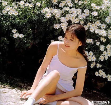 徐若瑄甲状腺癌发声全解密，2024明星危机公关3大实战策略（附患者声明模板）