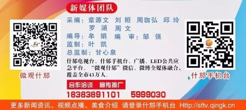 紫夜商城安全交易全攻略，2026年最新防骗指南与隐藏折扣揭秘