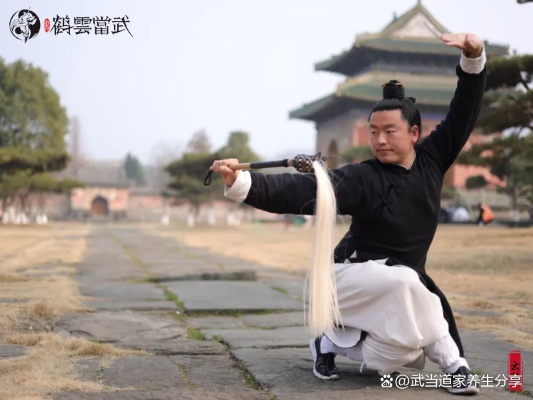 2026武当绝密玩法曝光，太极剑法天花板连招与心法避坑指南