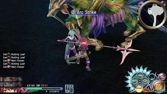 伊苏塞尔塞塔树海全技能链构建，噩梦难度无伤实战拆解