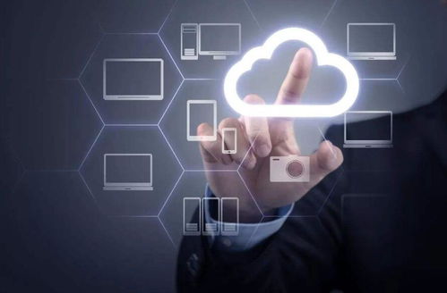 2026风之精灵培养全误区，3大数据揭示为何你的风系总刮痧？