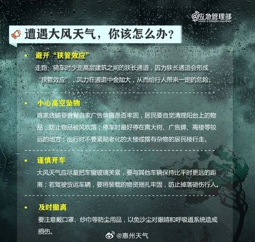 2026年丝路私服避坑指南，实测3大稳定服+隐藏职业玩法揭秘