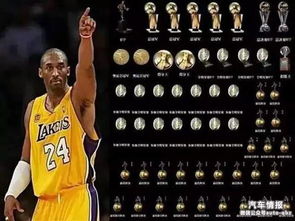 2026年绝版揭秘，科比街头篮球5大失传绝学实战应用全解析