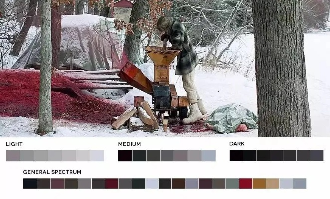 黑森林传奇类型解构，别再按颜色分好坏