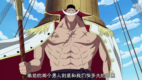 重温博人传燃魂时刻，重塑忍界传奇，海贼王再启巅峰之战！