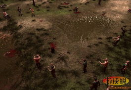 突破困境！解密古墓祭司卡特普双极难南下流战术新玩法