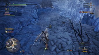 掌握怪物猎人世界稀有生物捕捉秘籍，开启高效捕捉新玩法