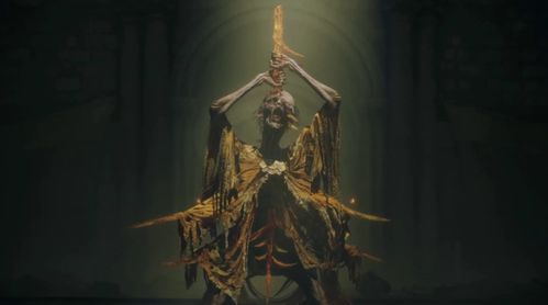 通关秘籍！艾尔登法环DLC送葬者强化流及见弃空洞者配装全解析