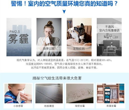 李珍珠类型真的被低估了吗？2026年Q1版本隐藏强度与双修流完全体养成指南