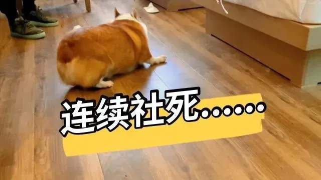 2026年Q1游戏社死实录，3大情何以堪名场面破解指南