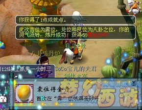 2026梦幻西游坐骑投资回报率实测，平民玩家选这只性价比逆天