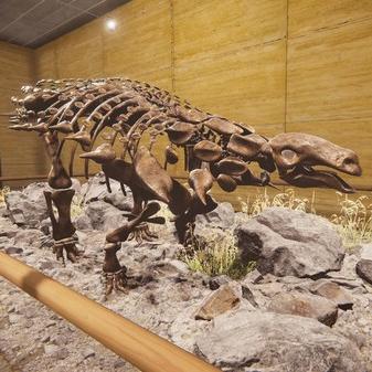 恐龙猎人3.0版本终极武器搭配，实测伤害数据与隐藏机制全解析