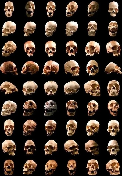 2026最新死亡头骨类型排名，这5颗头骨让Build伤害翻倍！