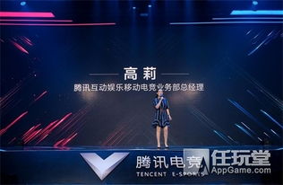 CPL2013绝版档案，揭秘电竞黄金时代的最后荣光与未公开数据