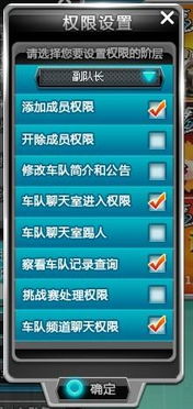 飞车车队头衔怎么设置？2026最新版完整权限表+高阶玩家定制方案